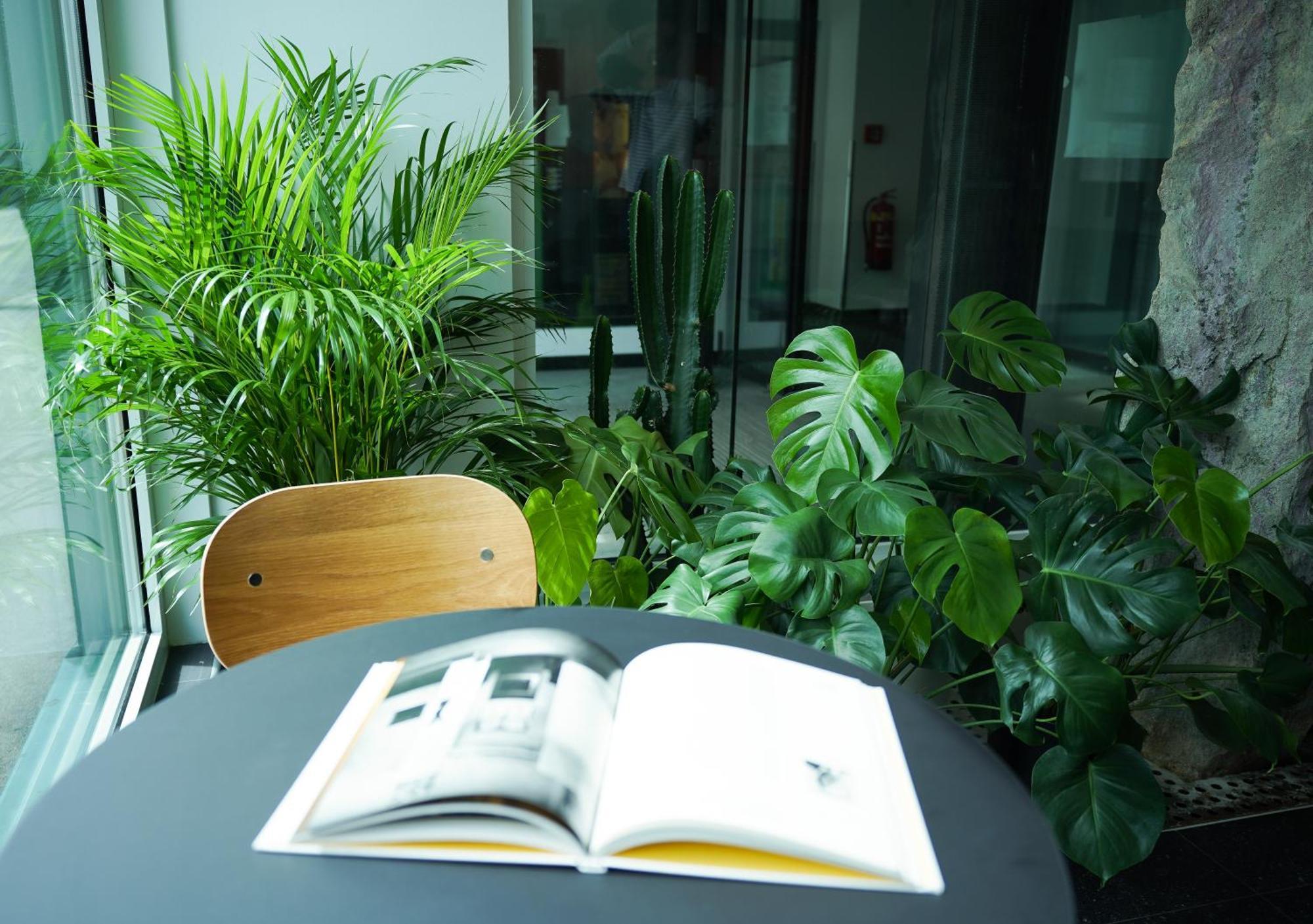 Design & Budget Schoenbrunn Hotel 3*